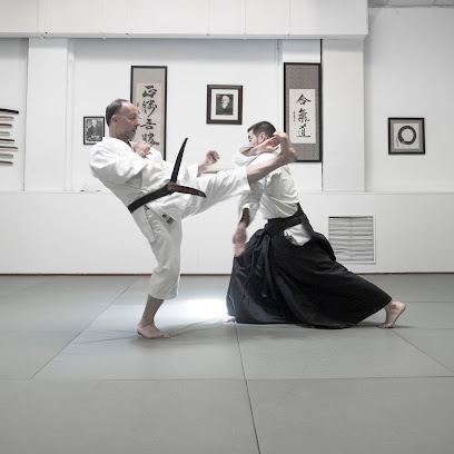 Dojo Zentrum. Escuela de Artes Marciales y Salud