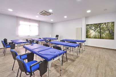 Escuela Oficial de Kinesiología Holística