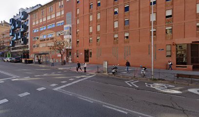 Hijas de María Madre de la Iglesia