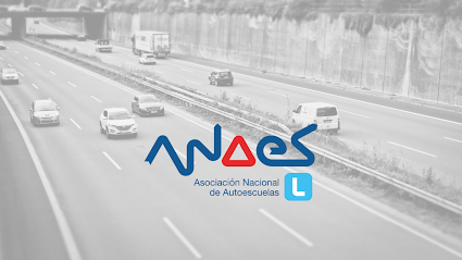 Asociación Nacional de Autoescuelas de España ANAES