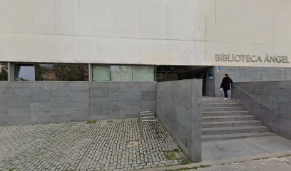Biblioteca findes cerca latina